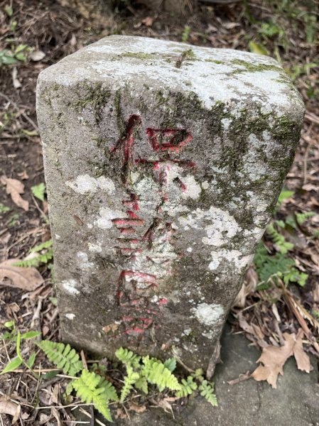 小格頭越嶺坪林2738360