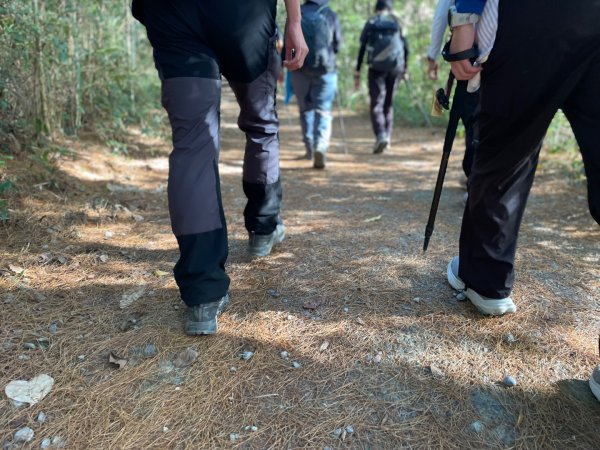 谷關七雄｜一日東屋縱走2923820