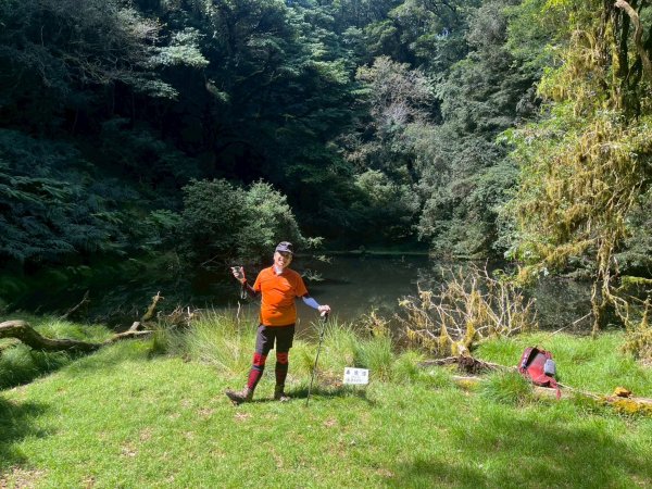 新竹 尖石 鎮西堡巨木群步道A線巨木群 毒龍潭2884743