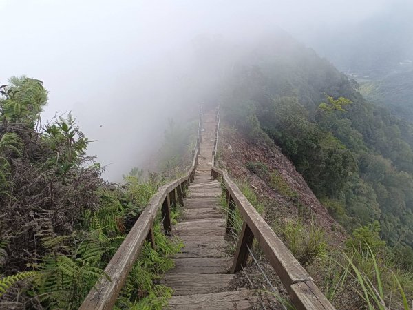 20230902台中和平隘勇求安線白毛山東北峰、白毛山、白毛山西南峰、臭頭山、白毛山北峰、沙蓮山西南2269964