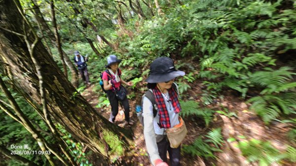 艋舺崙古道上新路尾山連走大平林山古厝O走3102735