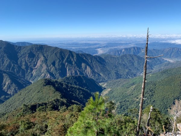 大雪山230林道沿雪霸界稜下百川山出雪山坑探勘 2022.12.111949596