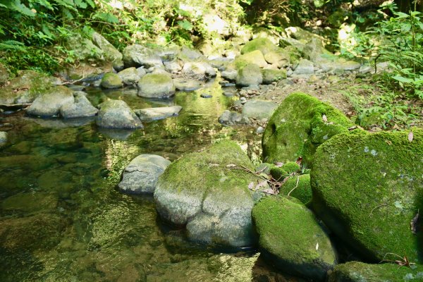 南坪古道：油羅溪上游814439