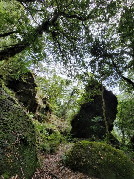 福巴越嶺國家步道2364490