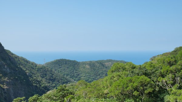 里龍山親子登山趣743994