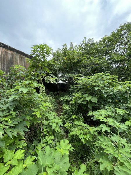 2025/7/26鐵砧山2845968