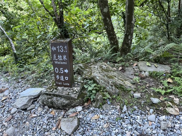 [玉山尋寶任務-03/12] 2025_0810 瓦拉米步道2857362