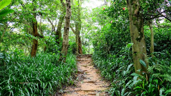 微笑山線405高地段2844171