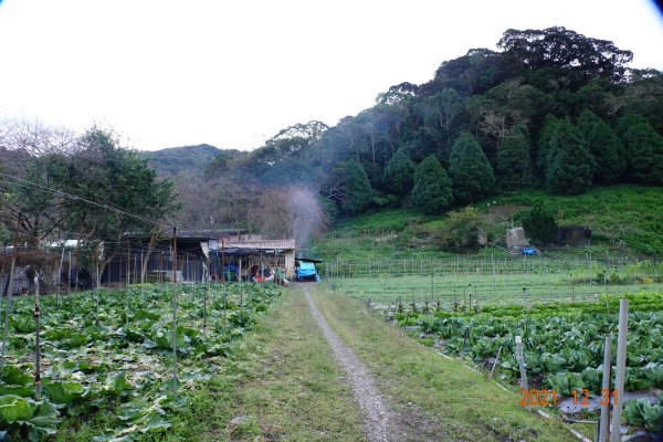 南投 仁愛 武令山1568026