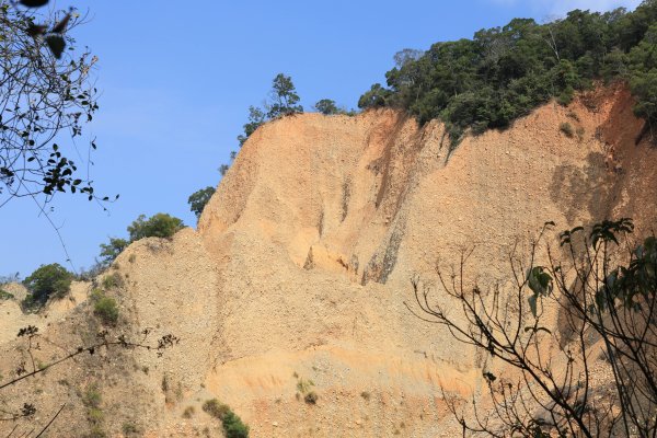 2026.03.15 火炎山、慈濟山縱走3017504