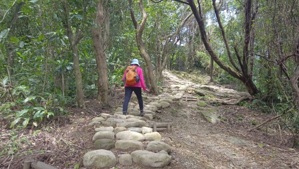(姨婆趴趴走)第五十集:新北樹林大同山、青龍嶺、大棟山諸峰連走2751617