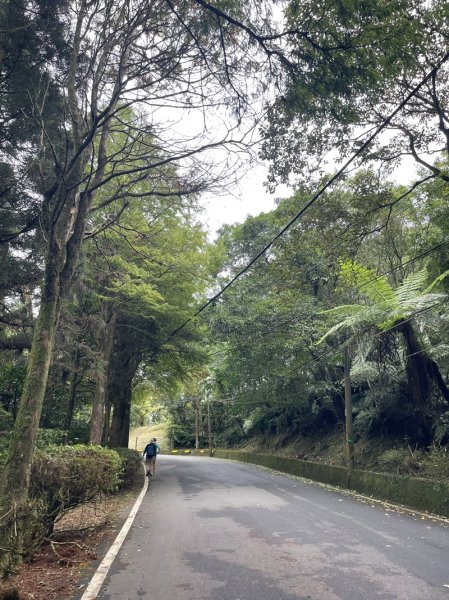 千島湖周邊步道2936042