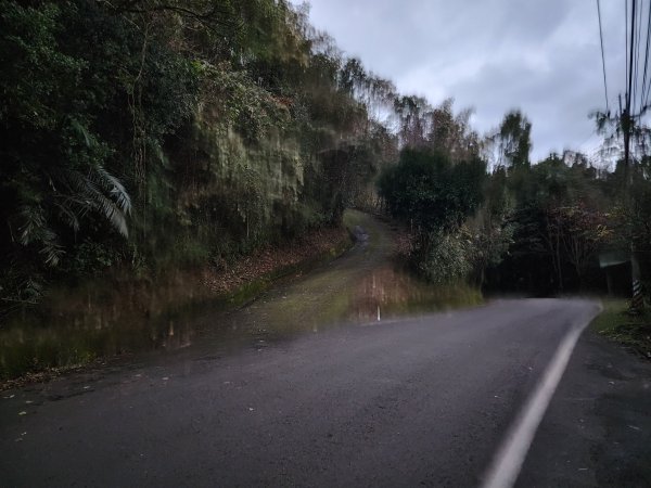 20250105鵝公髻山雲霧步道2726317