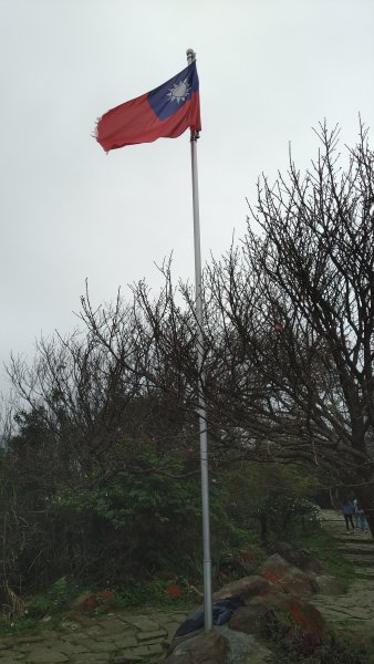 2020.2.28大尖山步道之旅1411201