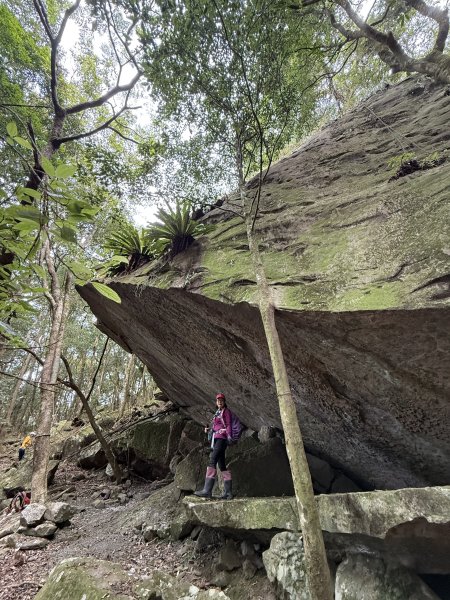 大坪祕境的奇岩2672539