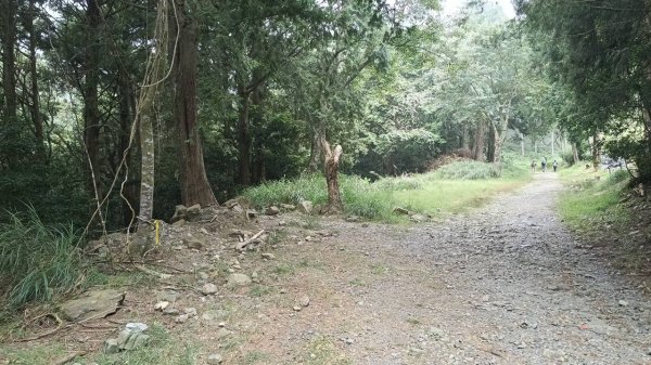 20251010 大雪山國家森林遊樂區 - 船型山林道 登 烏石坑山2911060