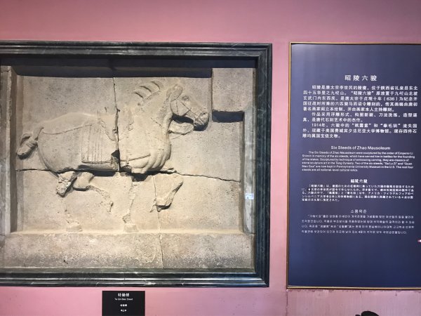 陝西歷史博物館門口、西安碑林博物館2305442