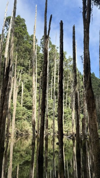 20251005小百岳金柑樹山2906980