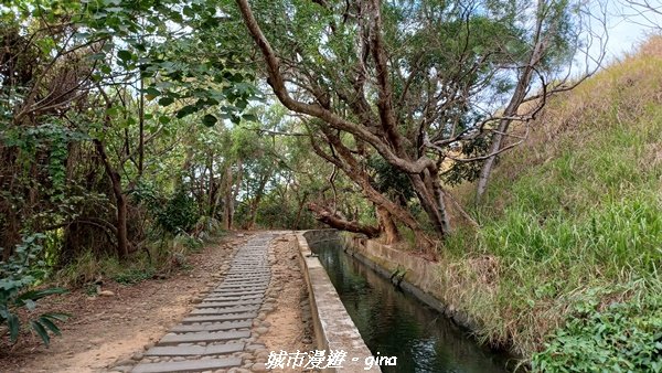 【台中烏日】180度好展望。 知高圳步道x雪蓮步道x學田山2032249