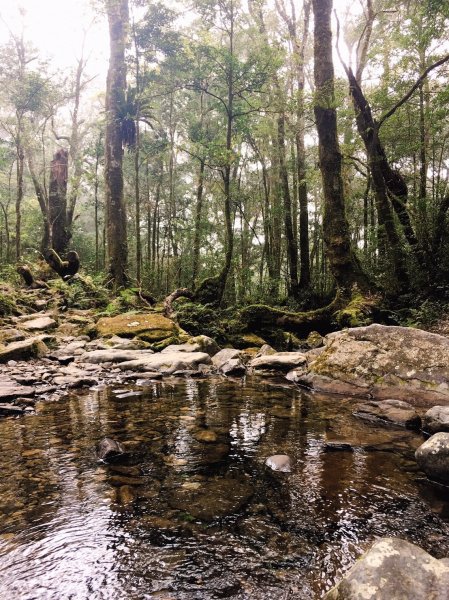 雨神山友：終於中籤的北插天山539961