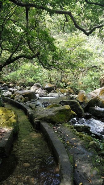 105.06.18 青山瀑布 尖山湖步道190750