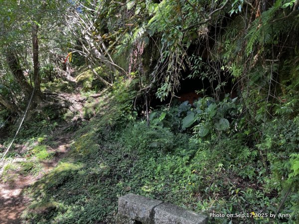 微笑山線【五分山系】菁桐煤礦段＋平溪小黃山段2906700