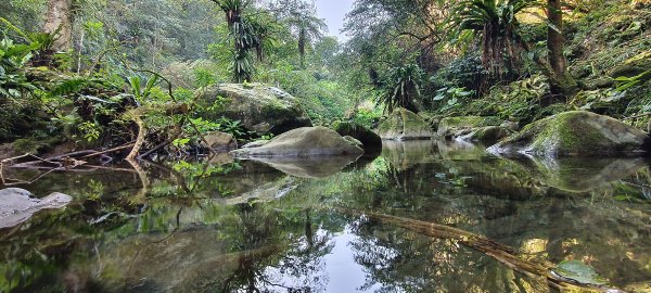 2026/02/21-馬胎古道（含二期）