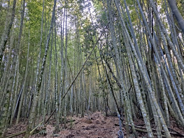 水社大山(負重26kg)(2022.08.16)1890572