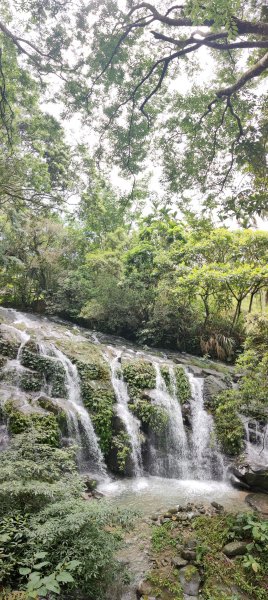 太興飛瀑步道(阿葉溪瀑布)983481