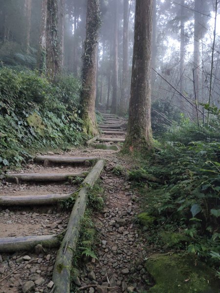 20201031奮起湖大凍山步道1152237