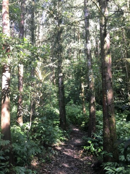 20181014日湯真山446481