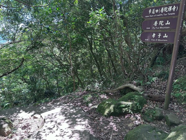 平溪小黃山2873263