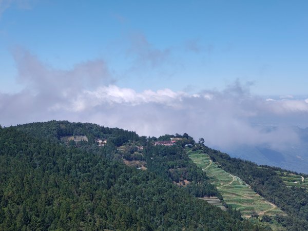 觀霧雲海山林之美2923618