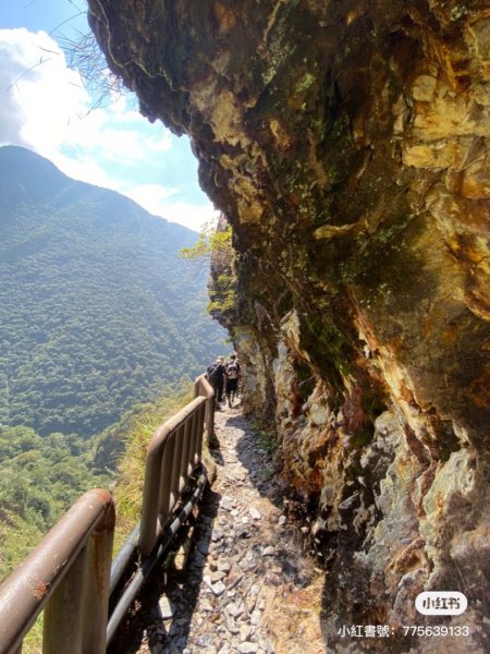 南投東埔八通關古道1493183