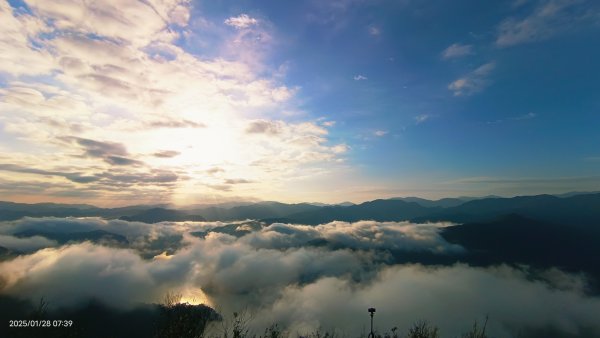 除夕寒流來襲的翡翠水庫雲海&天元宮寒櫻1/282700699