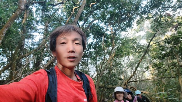 田良井山六連峰(屏東三地門) 探勘初體驗2025年3月9日2731603