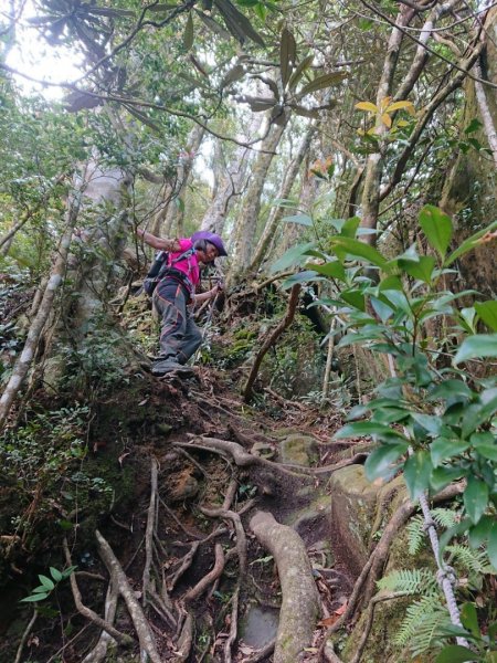 那結山（嘎色鬧部落線）893437