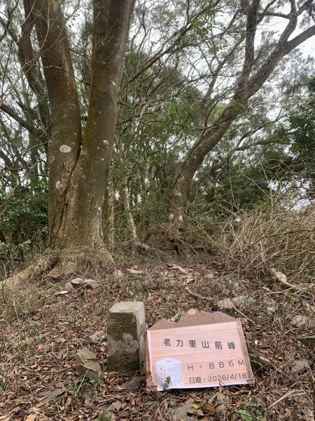 20260418屏東老力里山前峰3043746