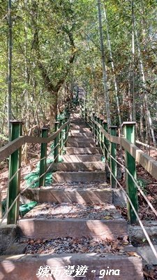 【南投魚池】後尖山步道2968305