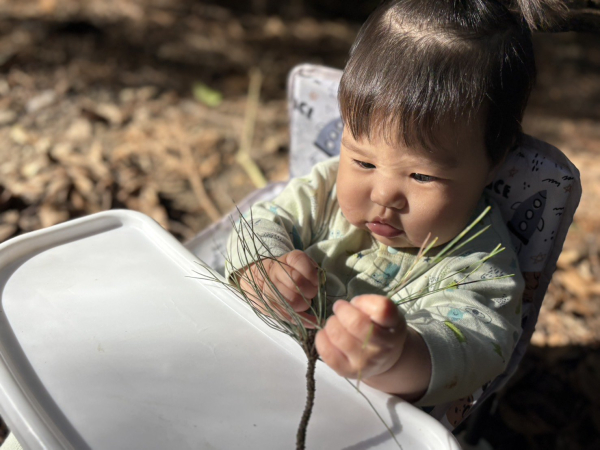 0–3 歲親子野營指南：寶寶裝備準備與爸媽安心秘訣