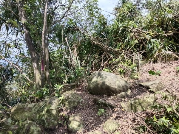 蛇子形古道+柴寮古道2754230