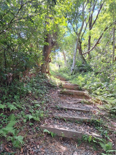 南澳朝陽步道小O202508312876494