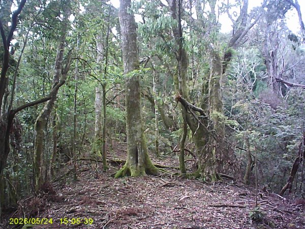 台21號公路的同富(埔沙)山3061840