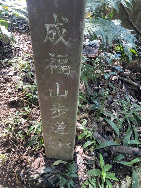 2025微笑山線大縱走尋寶集章任務-Ep.04【天上山系】望月亭桐花段｜石門內尖山東峰 ×石門內尖山2979157