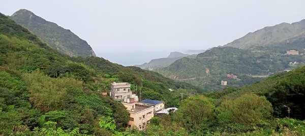 【小百岳集起來】落英繽紛、視野遼闊基隆山1293373