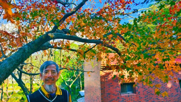 #花卉試驗中心 #永公路500巷 #平菁街42巷 #原住民公園 #士林官邸 1/42976603