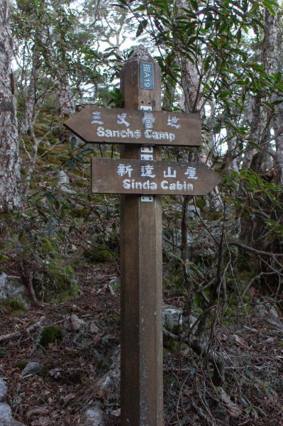 池有山+品田山 一日二秀1860152