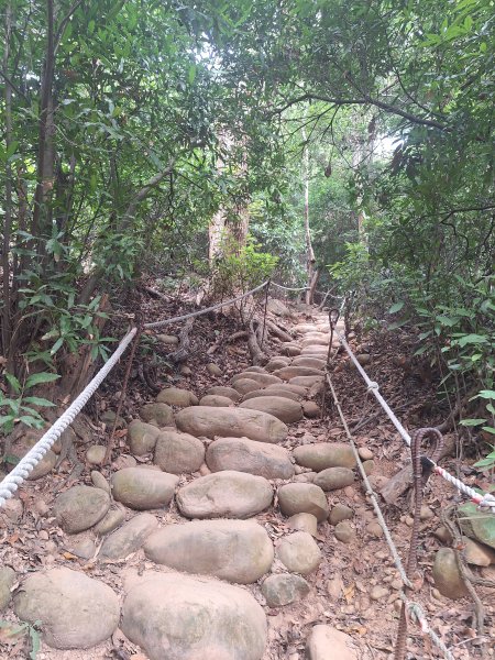 火炎山+南鞍古道O走202610143135330