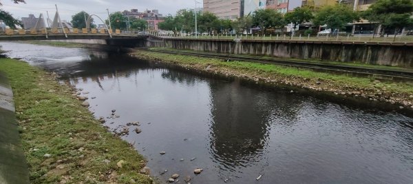 桃園老街溪2928636