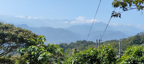 飛鳳山3120024